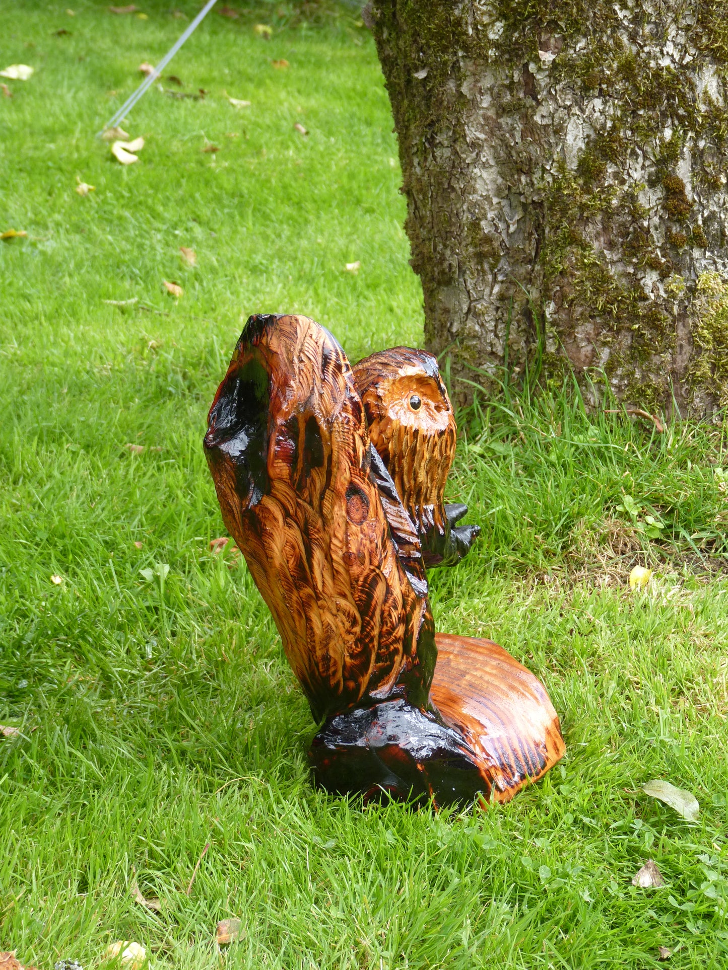 1 chainsaw carved owl on a branch