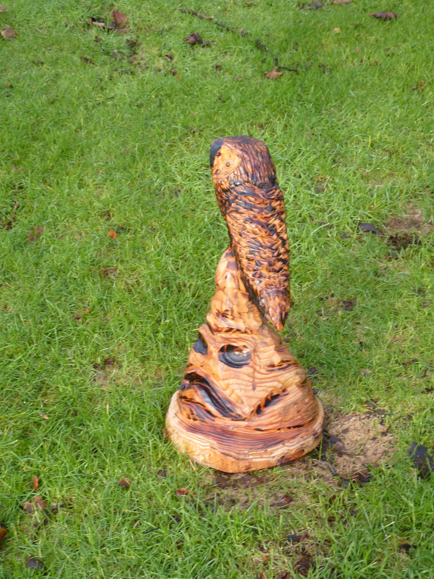 1 Chainsaw carved Owl on harry potter Sorting hat