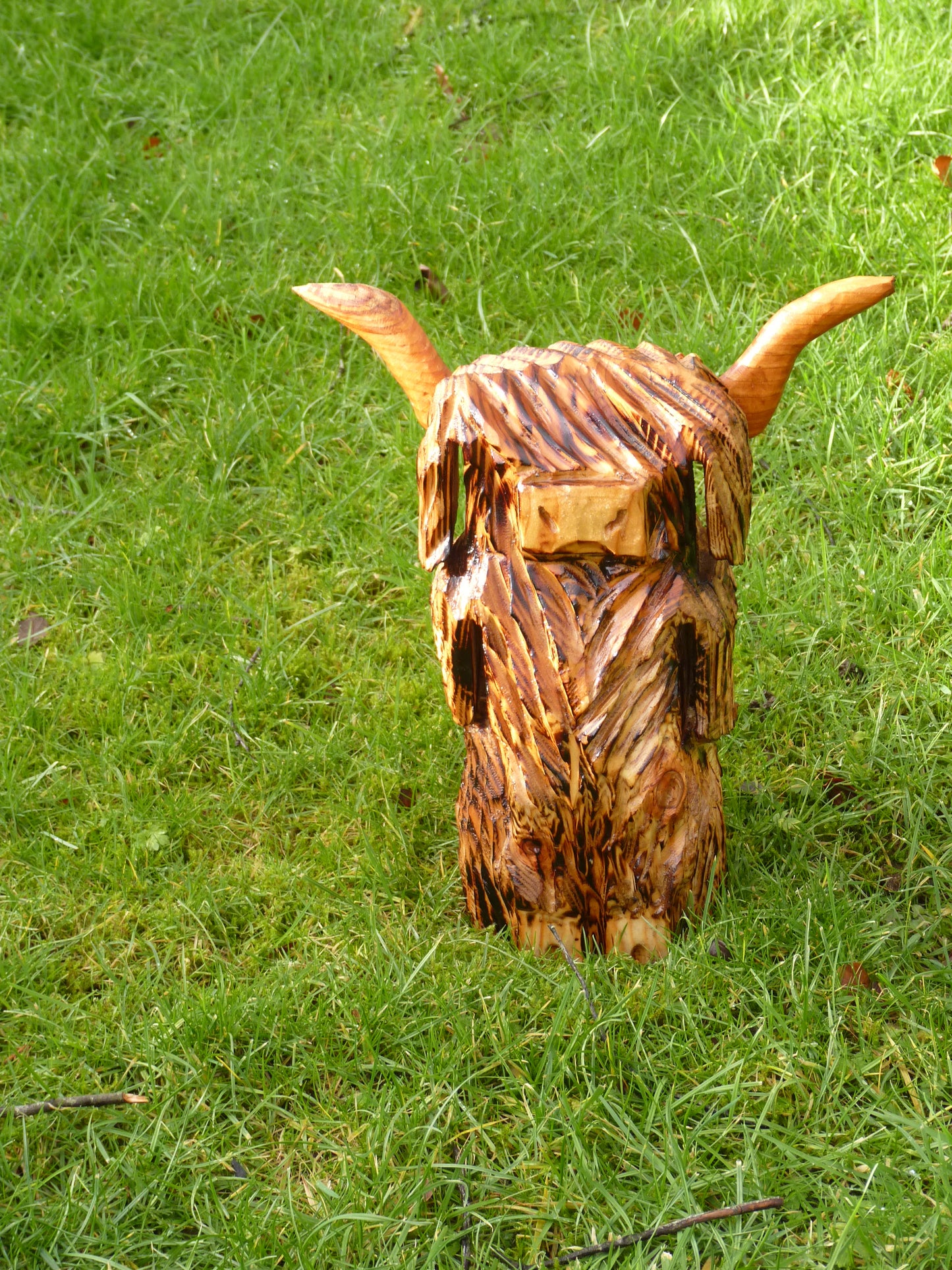 1 Chainsaw carved Highland Cow / Coo sculpture