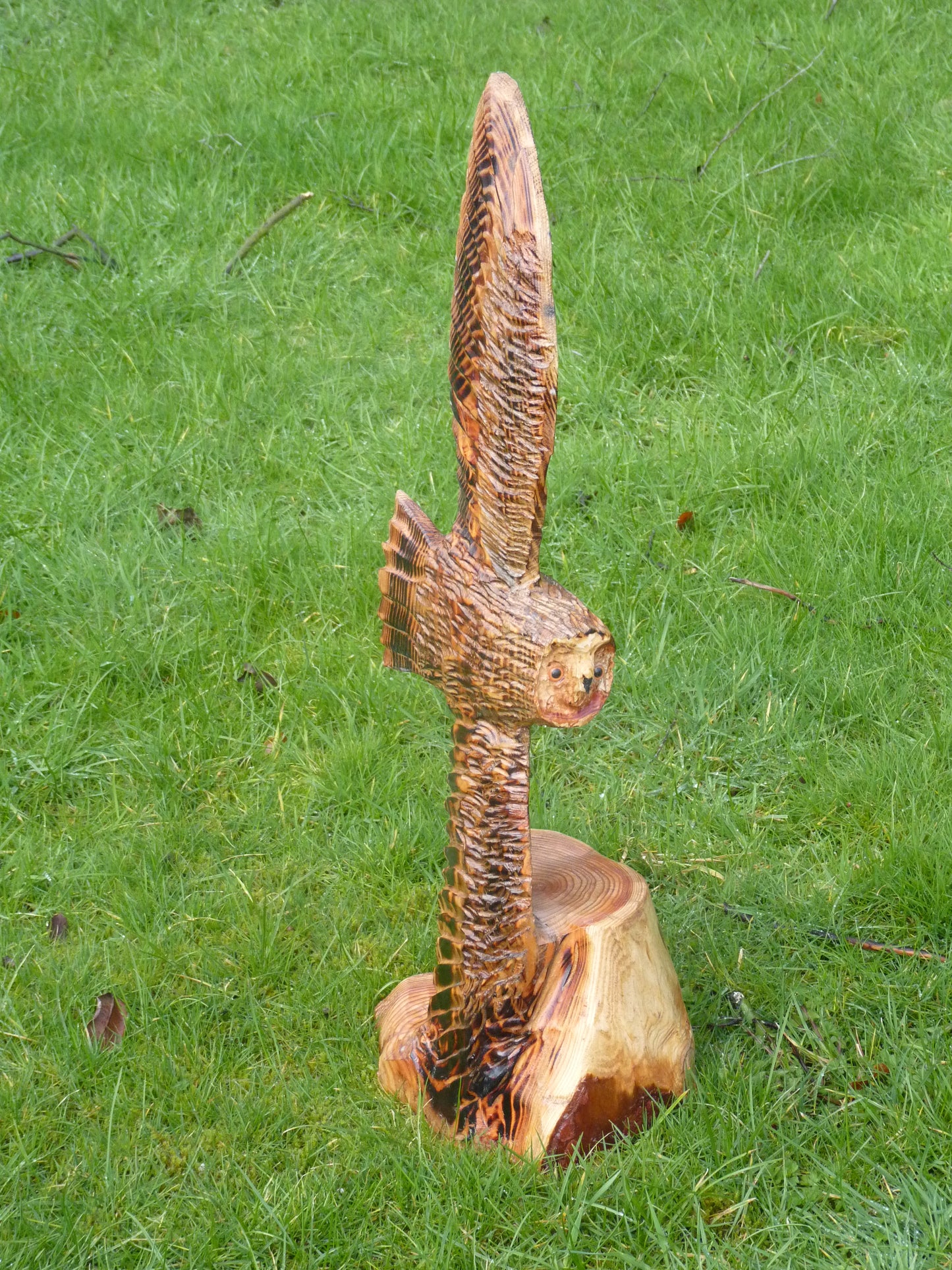 1 Chainsaw carved soaring owl