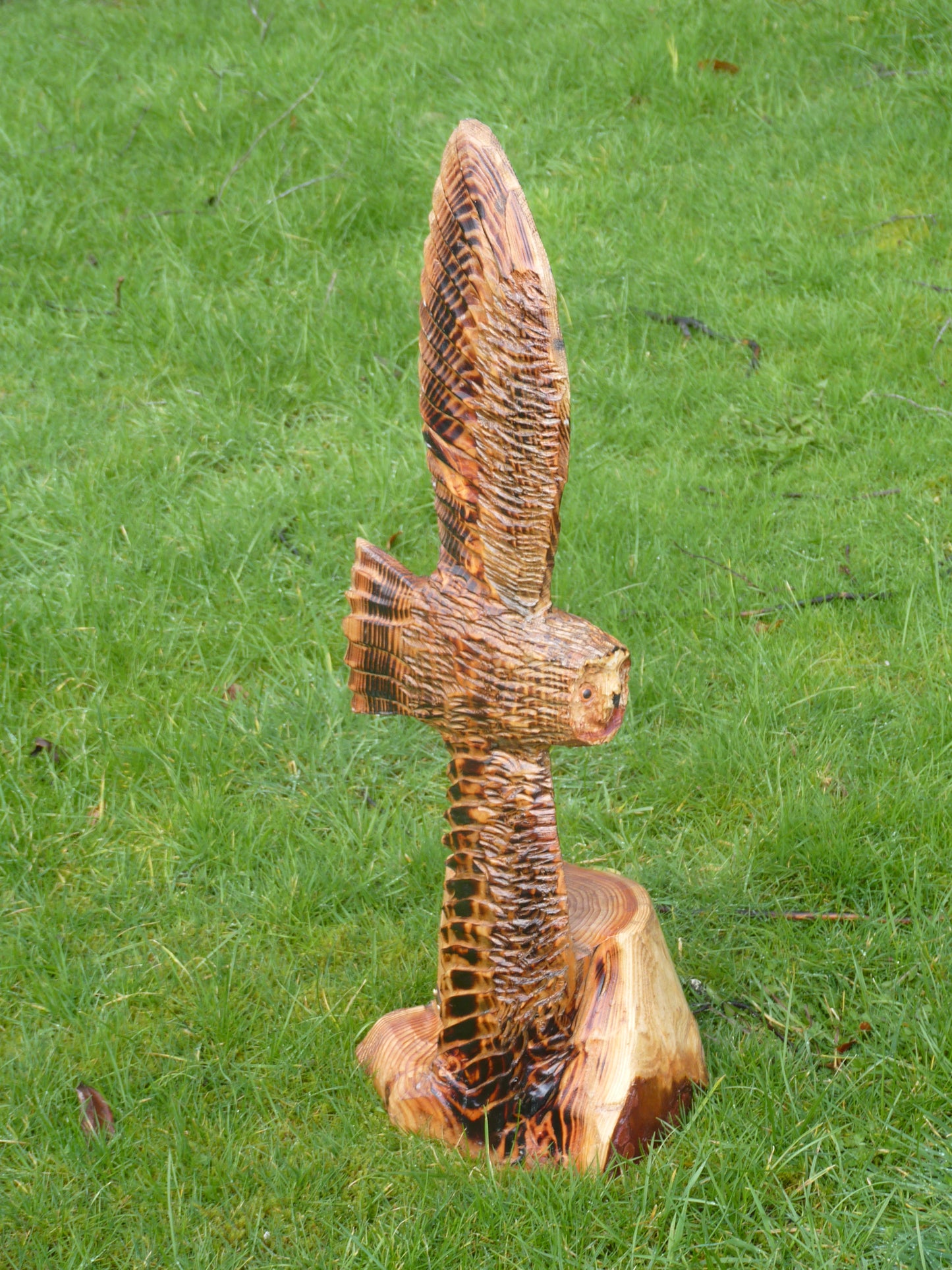 1 Chainsaw carved soaring owl