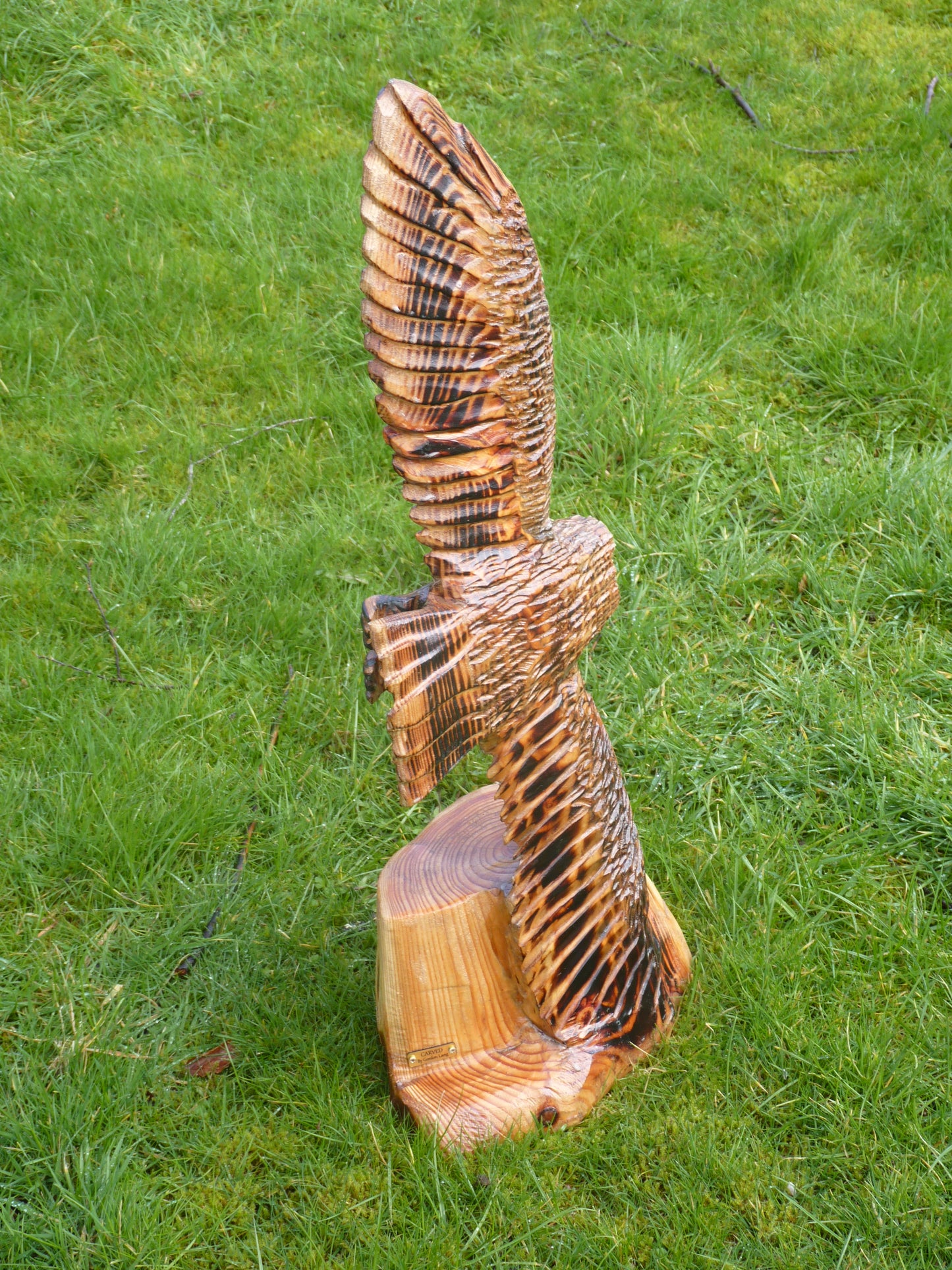 1 Chainsaw carved soaring owl