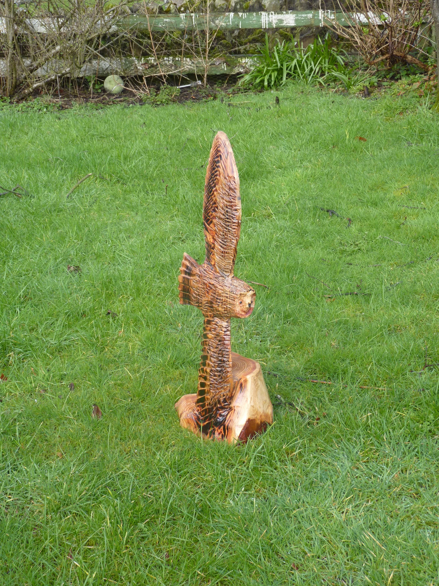 1 Chainsaw carved soaring owl