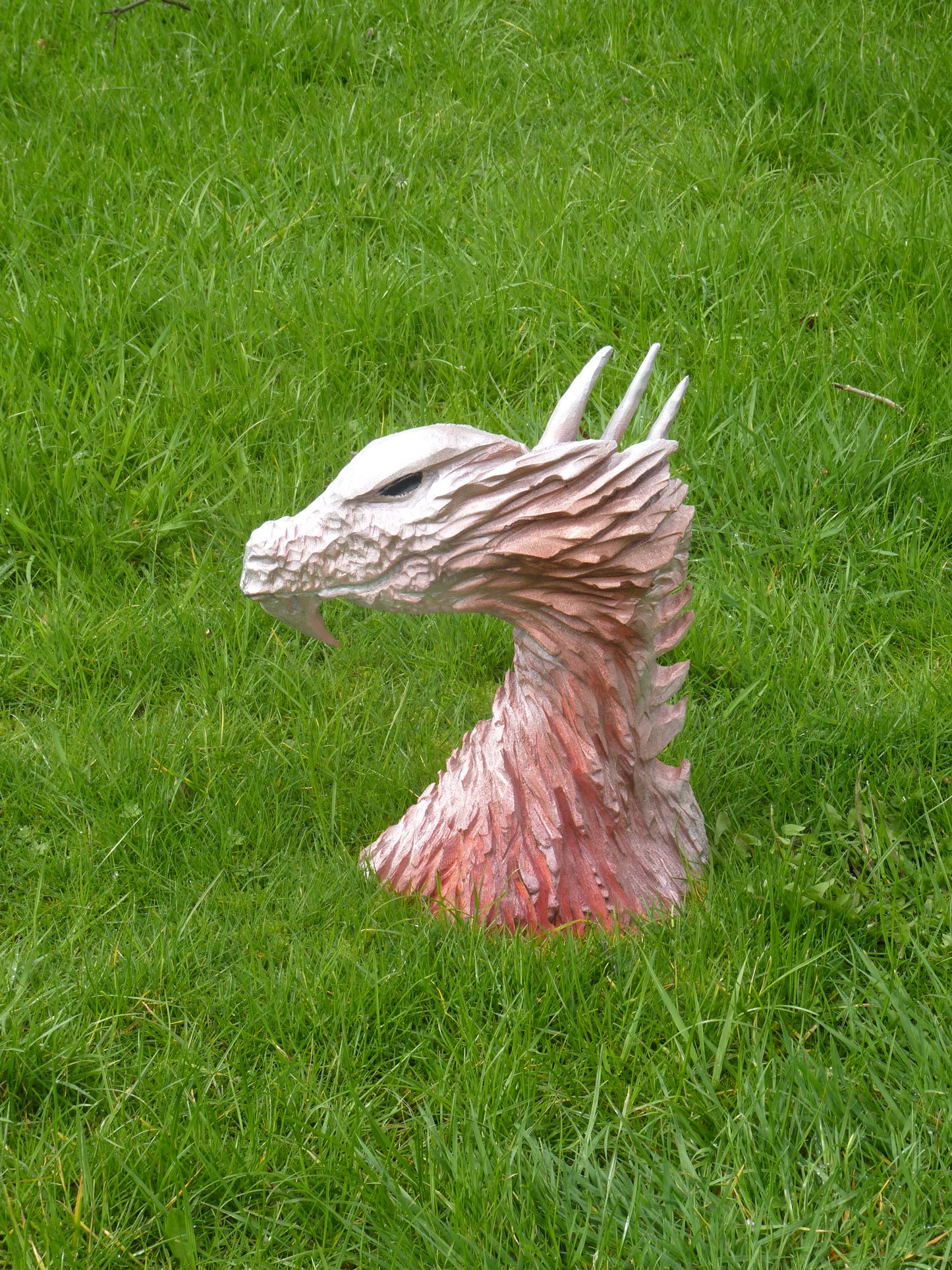 1 chainsaw relief carving dragons head