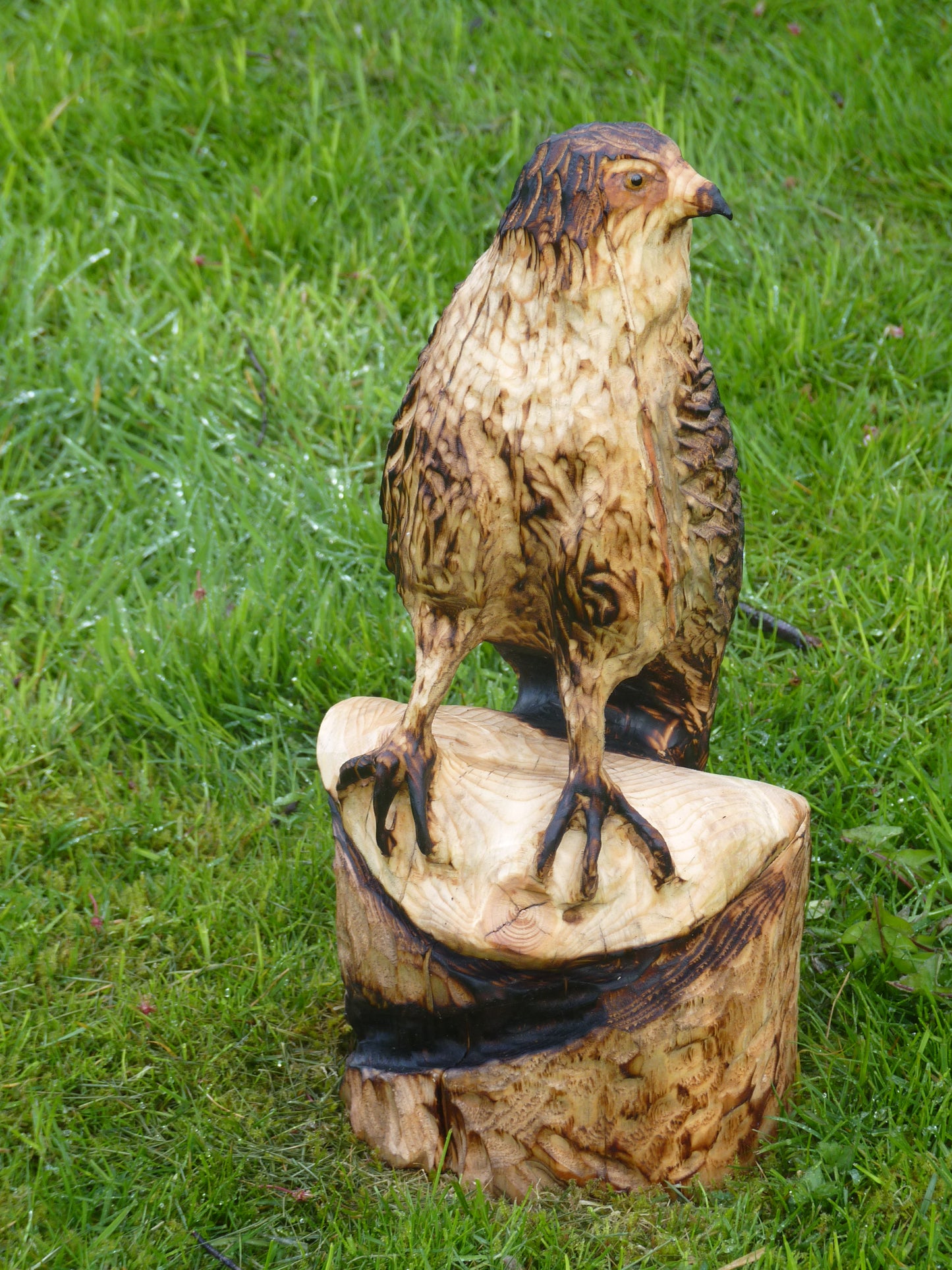 1 Chainsaw carved hawk garden sculpture.