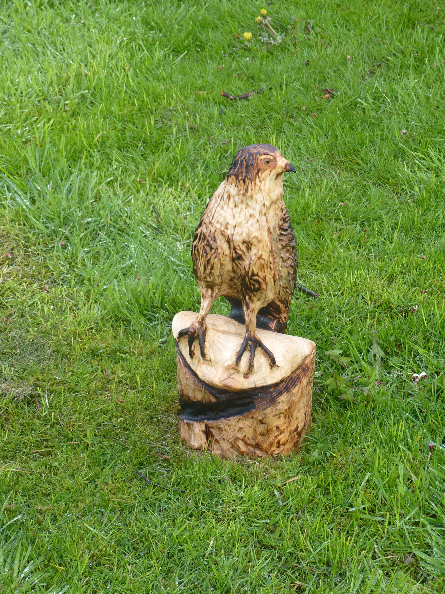 1 Chainsaw carved hawk garden sculpture.