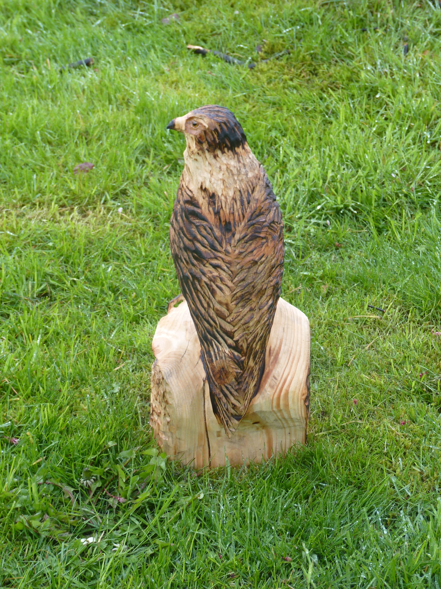 1 Chainsaw carved hawk garden sculpture.