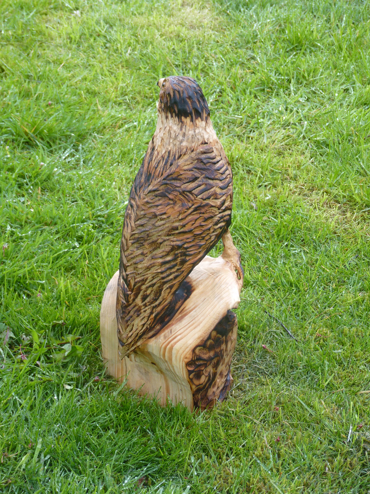 1 Chainsaw carved hawk garden sculpture.