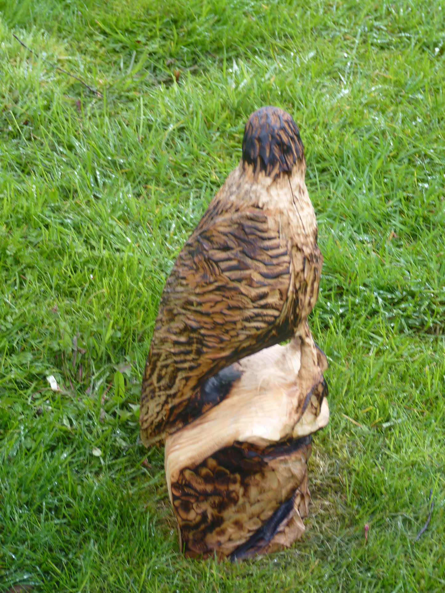 1 Chainsaw carved hawk garden sculpture.