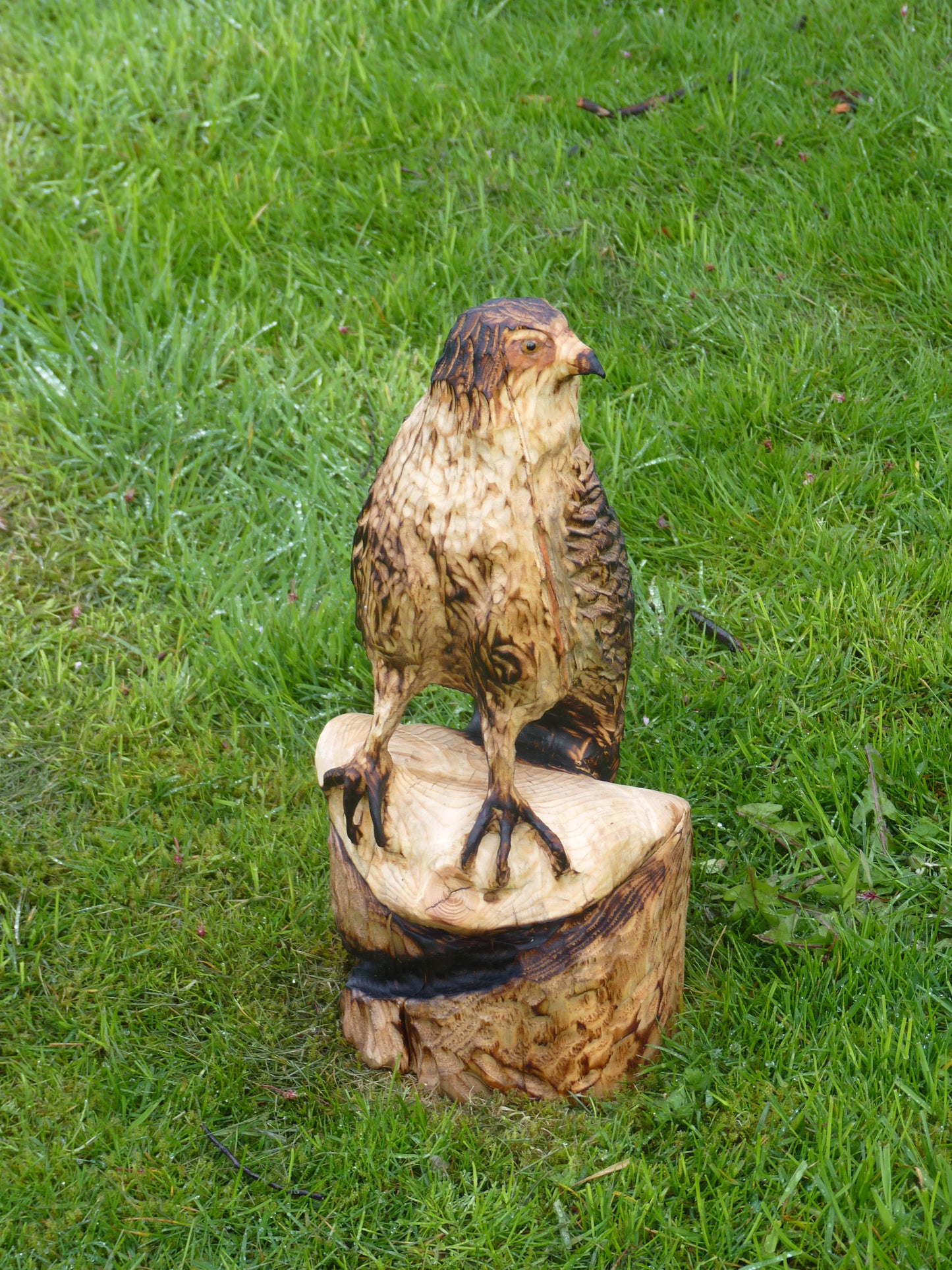 1 Chainsaw carved hawk garden sculpture.