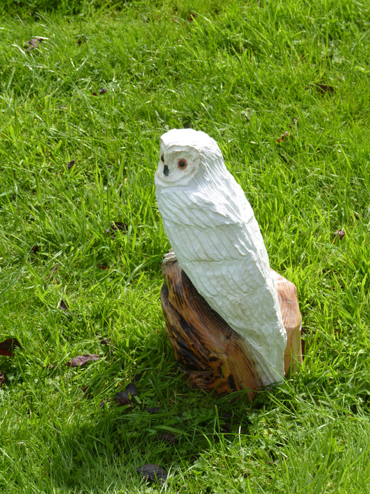 1 Chainsaw carved Snow Owl