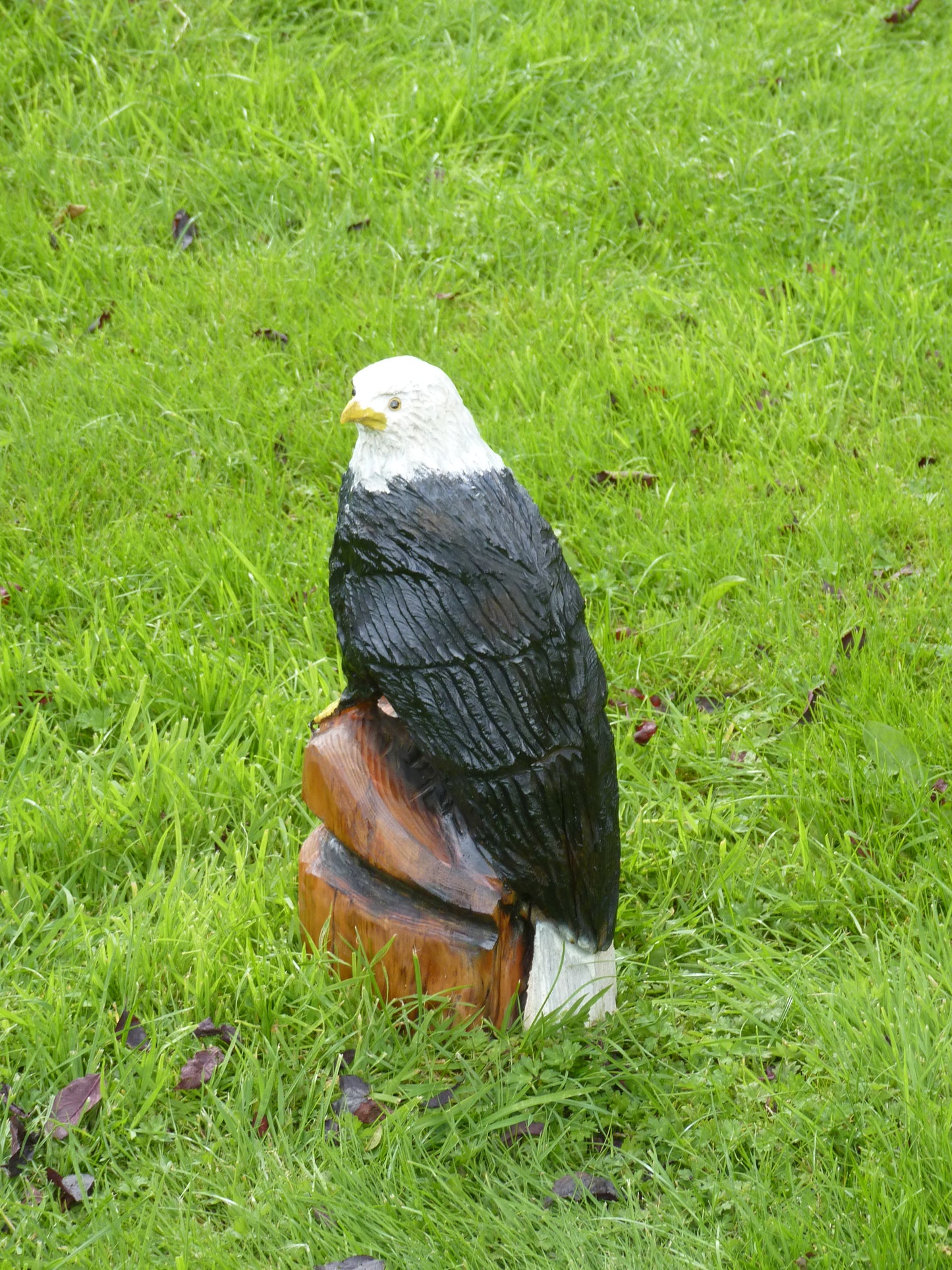 1 Chainsaw carved Eagle garden sculpture