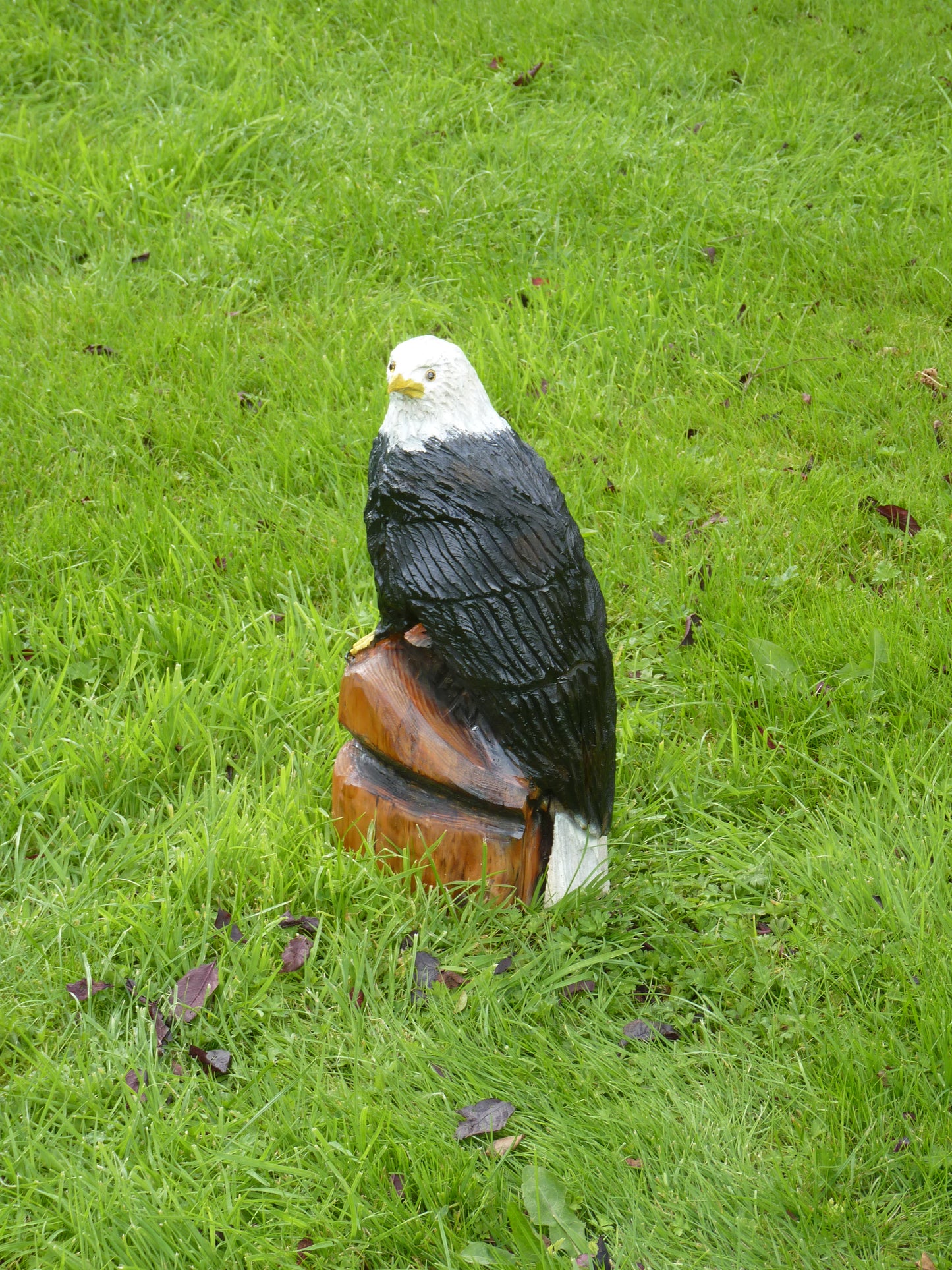 1 Chainsaw carved Eagle garden sculpture