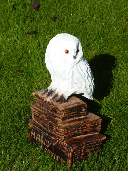 1 Chainsaw carved harry potter themed Snow Owl