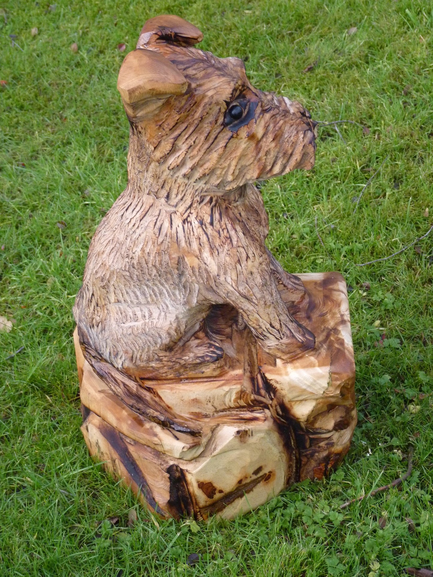 1 Chainsaw Carved Miniature Schnauzer